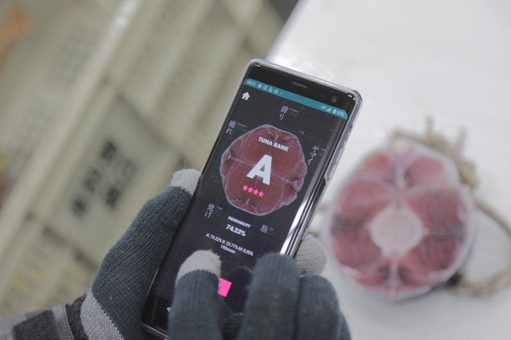 マグロの検品に「TUNA SCOPE」 伝統の職人技をAIが継承