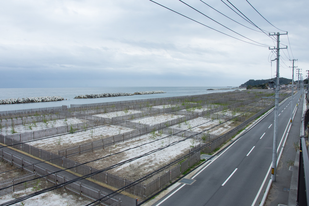 【IEEIだより】福島レポート 「オプトアウトの4条件」 災害と医学研究　災害時の情報収集と法律・ガイドライン（2-2）