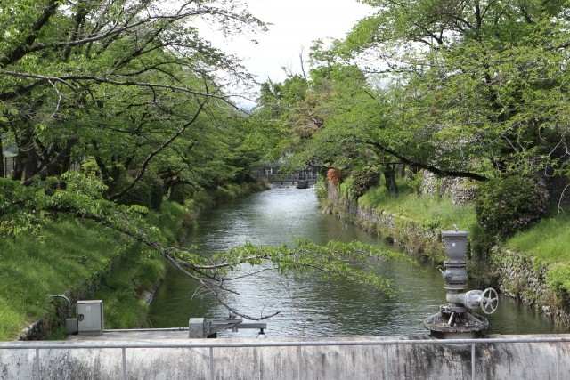 6月13日は太宰治が玉川上水に入水した日だった（写真は、玉川上水 羽村取水堰）