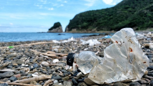 プラスチック・ゴミが世界中で問題になっている
