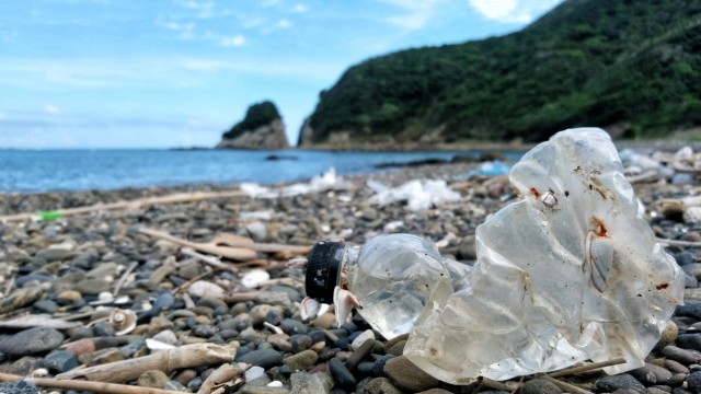 消費増税、テイクアウト増え路上で飲食　ポイ捨て、プラごみ...... 悪化懸念の声