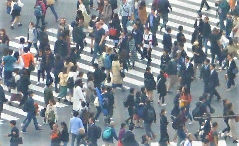 粉飾決算倒産が急増 「もう限界......」10年以上の長期にわたり隠し続けたケースも