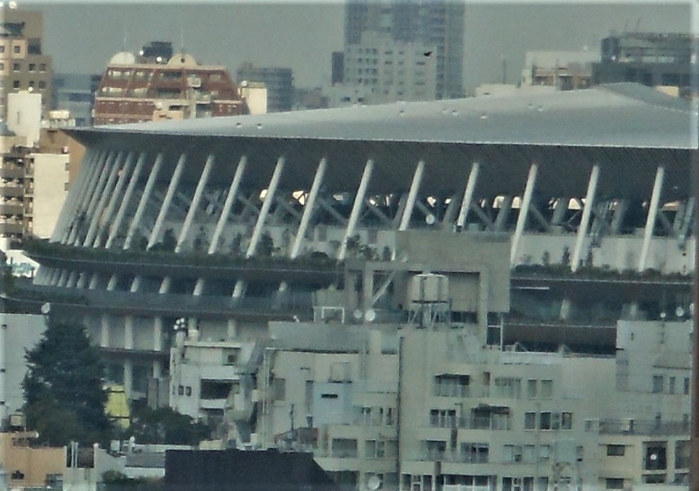 東京オリ・パラ、中小事業者の8割「期待しない」  交通規制に渋滞、街は混雑、TV観戦で客足鈍る？