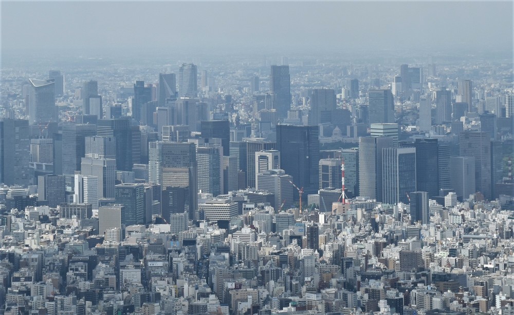 2019年粉飾企業の倒産、大幅増加　「10年以上」「20以上の金融機関」を欺き......