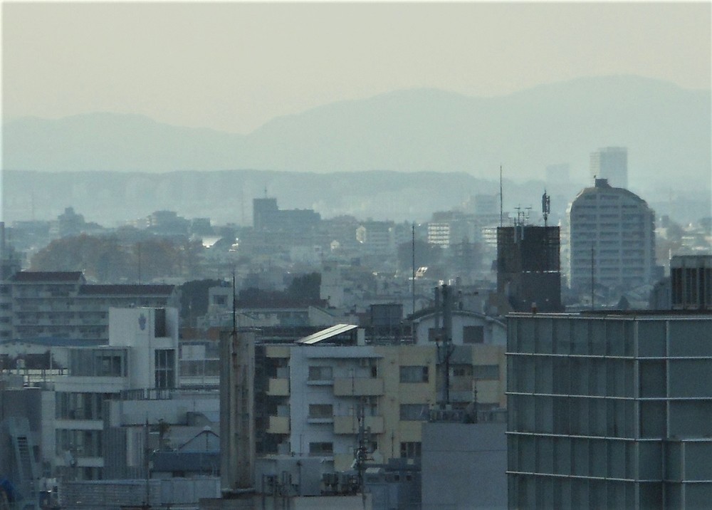 情報機関のインテリジェンスをビジネスに応用 「できる人」の未来予測テクとは......