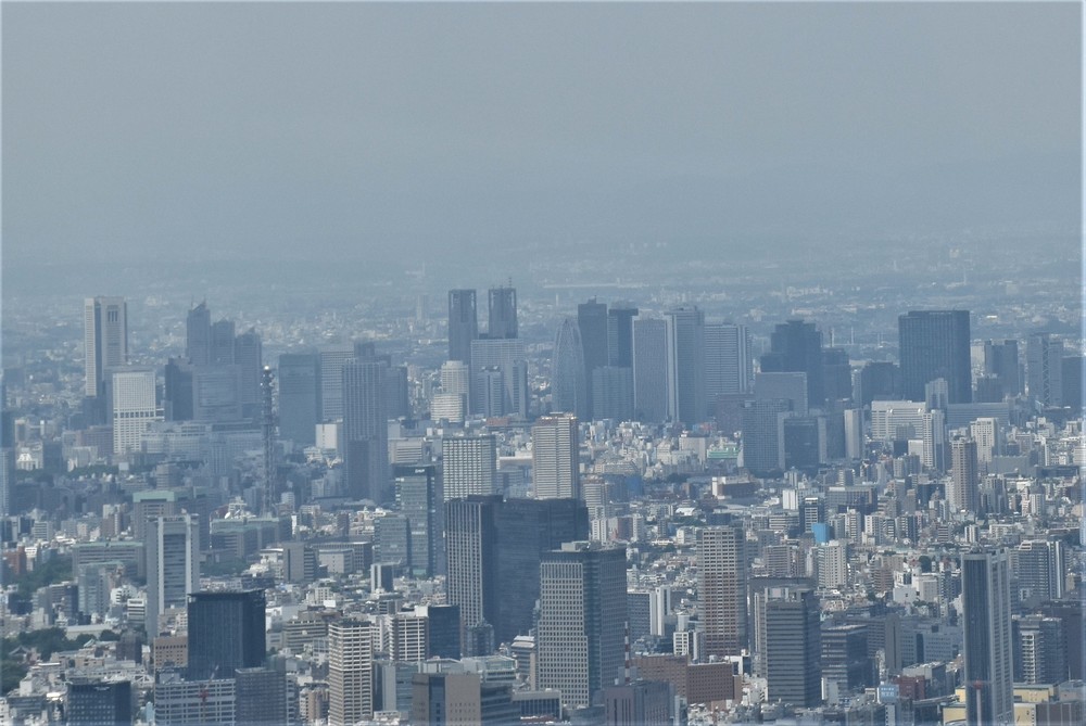 「日本で働きたい」外国人、9割超　でも、在留資格と日本語のハードル高く