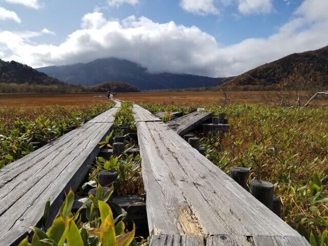 【コロナに勝つ！ ニッポンの会社】観光バス会社が「ウィズ・コロナ」時代のツアーを提案　PCR検査センターに医療従事者の待機用キャンピングカー