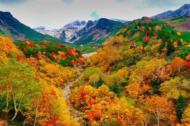 観光・宿泊施設をオンラインで「4K360度VR体験」 GO TOトラベルを後押し【コロナに勝つ！ニッポンの会社】