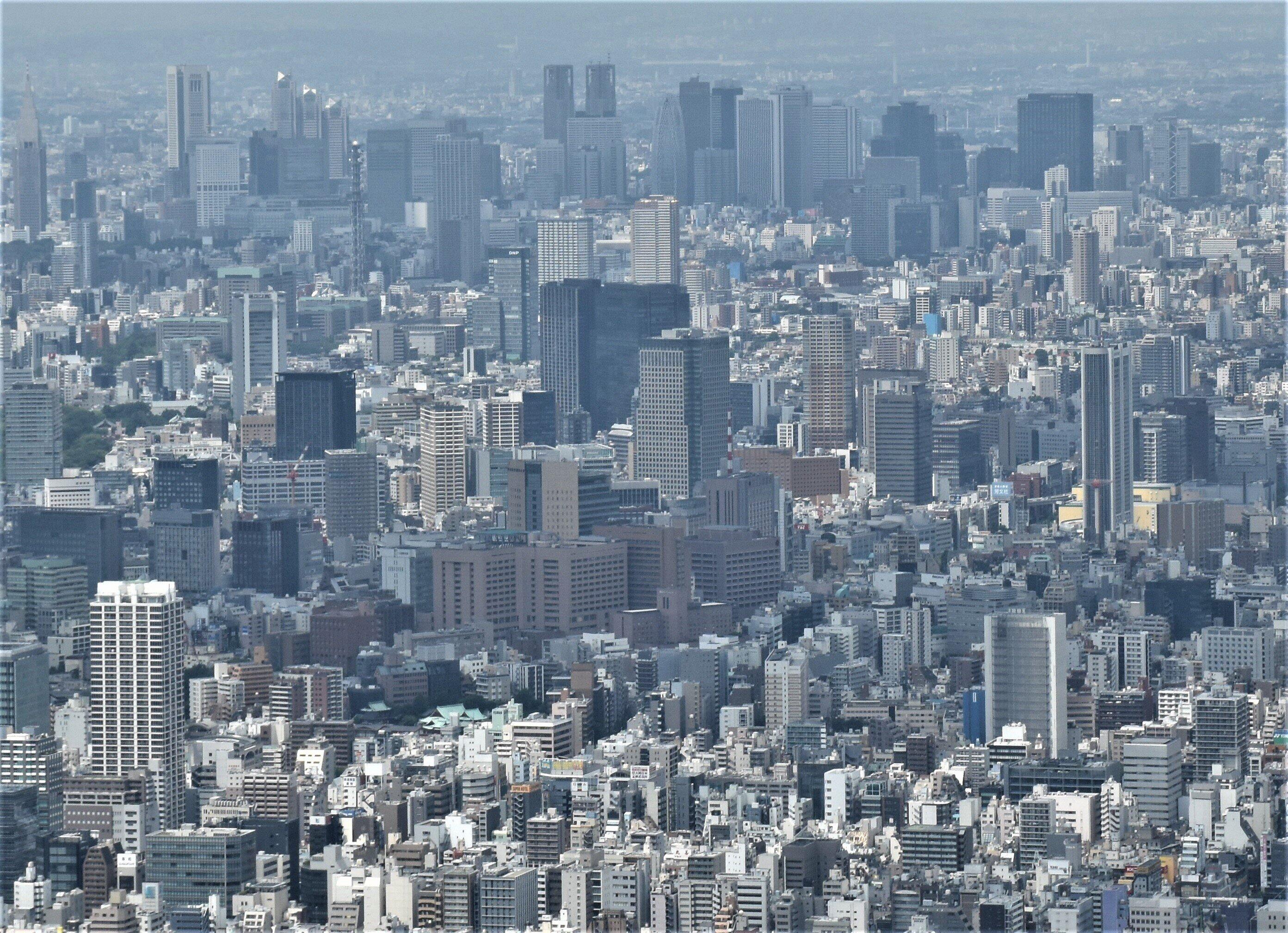 2020年の社長の出身大学ランキング 日本大学が10連覇