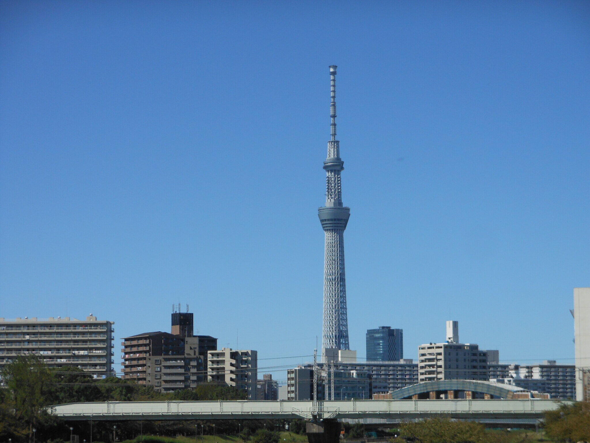 東京の観光名所の一つ、スカイツリー