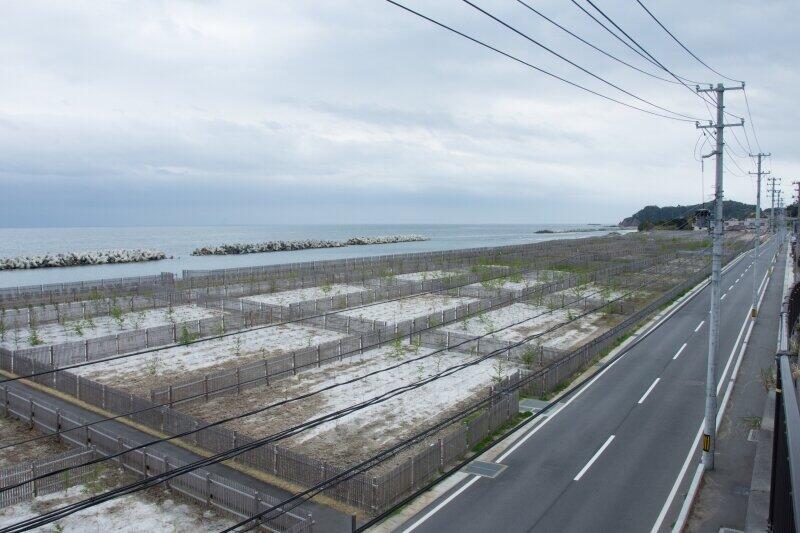 【IEEIだより】日本の医療は災害に強くなったのか？　東日本大震災、福島原発事故から10年を振り返る（越智小枝）