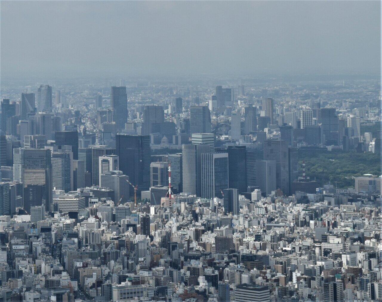 コロナ禍で東京圏の住宅地価に異変が……（写真は、高層ビルが建ち並ぶ東京の街）