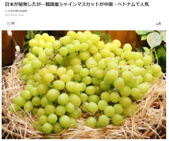 日本が開発した韓国産ジャマインスカットの東南アジアでの人気ぶりを報じる中央日報（2021年5月28日付）