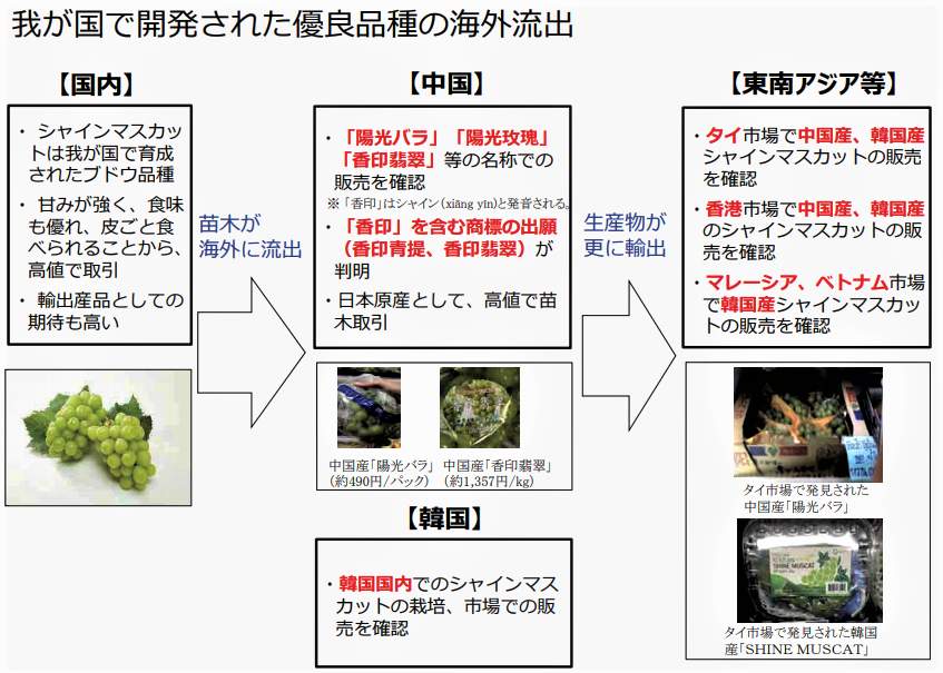 図：「日本で開発された優良品種の海外流出」（農林水産省公式サイト「国内育成品種の海外流出状況について」より）