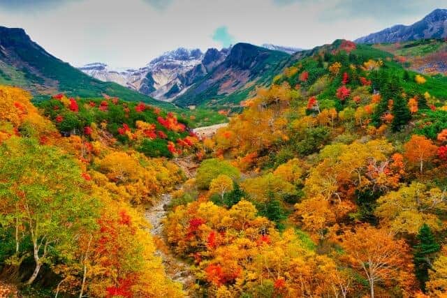 増えた山岳遭難、減った海・河川の水難事故 その原因はコロナ禍にあり！ 50代、60代の登山者多く（鷲尾香一）