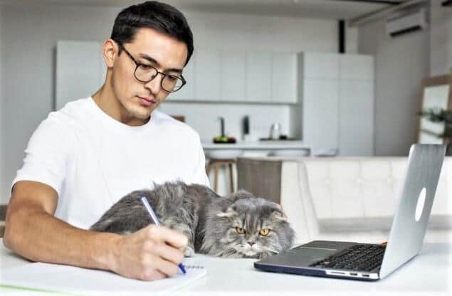 独身男性は猫を抱くほど時間にゆとりが増えたのに？（写真はイメージ）