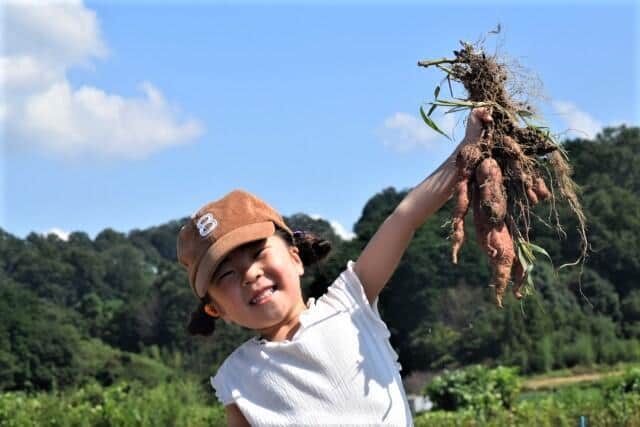 収穫の喜びを子どもたちに伝えたい（写真はイメージ）
