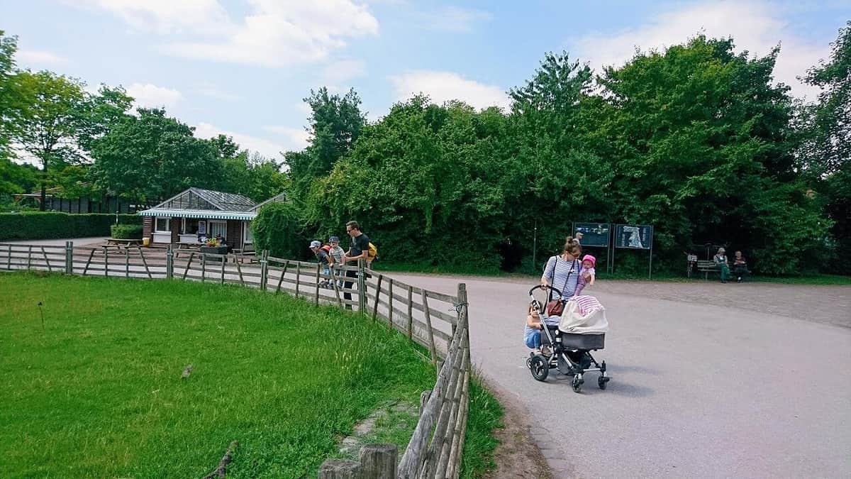 最新（2021年）のドイツの出生率は1.58、出生数は79万5492人。先日、発表された2022年の日本の出生数79万9728に迫る数字