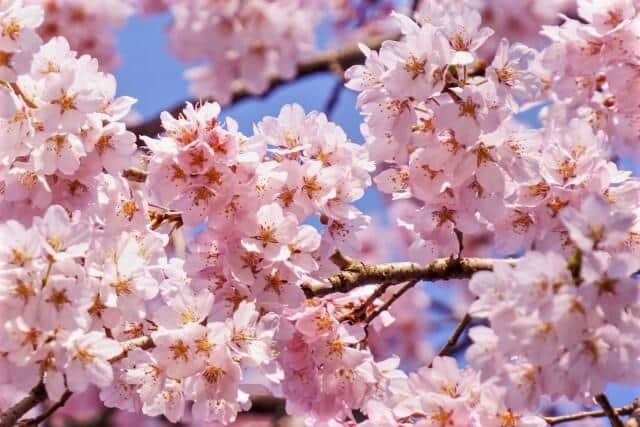 大学卒業式「心を震わす学長の挨拶」はコレ！会社ウォッチ編集部が独断で選ぶ珠玉の言葉の数々【1：熱き志で世界を救おう編】