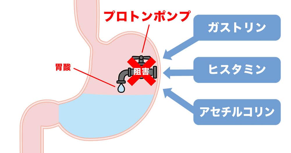 プロトンポンプ阻害薬（PPI）