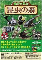 東京ドームシティにカブトムシ現る！