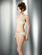 6つの機能取り込み進化「記念ブラ」　ワコール創立60年