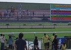 「ディープインパクト」になれるか？　「京都競馬場」で大運動会開催