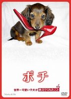 「日本一おバカなペット」に挑戦だ！