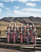 「富士山見えなければ宿泊費半額の振興券もらえる」　9月3日に「あんこ」100人が観光PRイベント