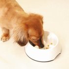 ペットの「早食い」を防ぐ　「ゆっくり食べれる食器」