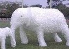 「ペットボトル製ゴリラ」が上野動物園に　「い・ろ・は・す」のecoアートプロジェクト