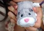 子より親の母性本能そそる？　人気のZhu Zhu Hamster