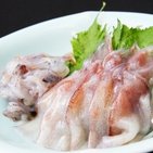 ホタルイカの旬、刺身の産地直送クール便も始まる