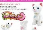猫にナツかれたい人へ　「芸する猫」登場
