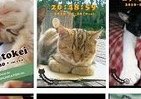 画像をなでると「ニャー」、癒しのねこ時計