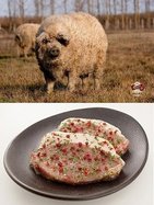 ハンガリーの「食べる国宝」　「マンガリッツァ豚」を牛角で