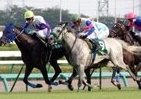 アイプリモとJRA、中山競馬場でプロポーズできる権利をプレゼント