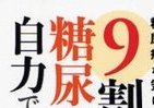 専門医が懇切丁寧に指南　糖尿病を自力で治す「養生力」
