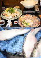 絶品！天然とらふぐ、鰻、かき　浜名湖「A級グルメ」探訪