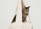 オランダ生まれの「猫専用タワー」
