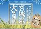 「ひとめぼれ」　ハタチになった記念キャンペーン実施