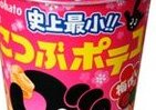 梅ぼし味が新登場　「こつぶポテコ」シリーズ