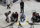 恐竜が近寄ってきた！　「拡張現実」イベントが湘南で