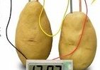 じゃがいもで発電！ じゃがいも時計