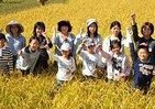 「収穫の秋」と「米の味比べ」満喫　「米どころ」宮城・登米市で子どもたちが参加