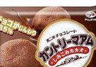 チョコがじんわり「しみこみカカオ」　不二家「カントリーマアム」
