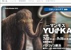 これが本物の全身マンモスなのだ　「永久凍土から発掘」横浜で世界初公開
