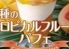 南国フルーツの果肉が色鮮やか　酸味と甘み際立つミニストップ「パフェ」