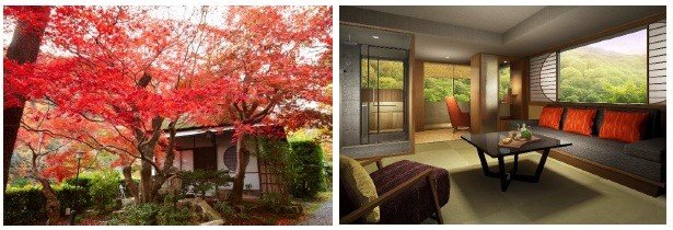 敷地内と客室（12月現在の参考イメージ）