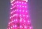 東京タワーで今年から毎月「満月の夜」ライトアップ　初回は1月16日